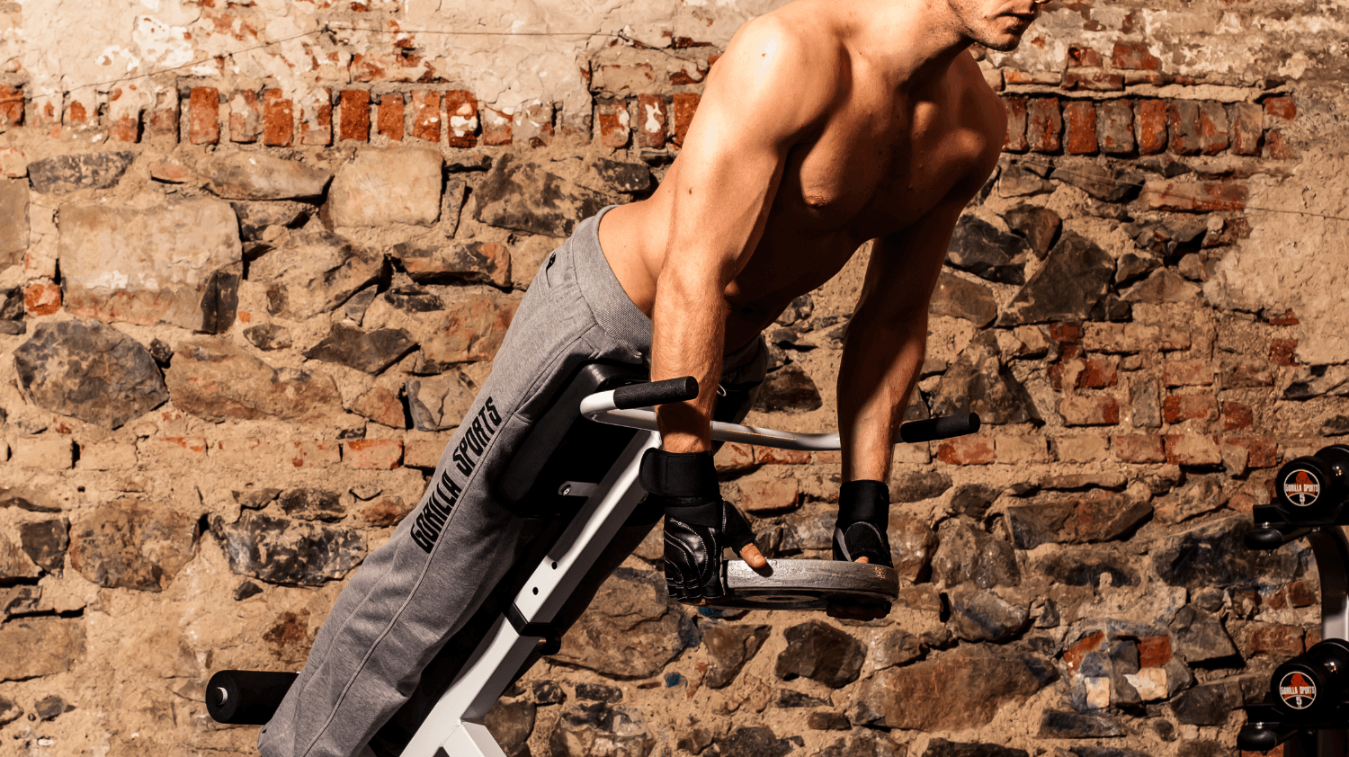 Get That Six-Pack | Core Workout and Nutrition Guide