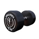 Fixed Dumbbell 17.5KG - Gorilla Sports South Africa - Weights