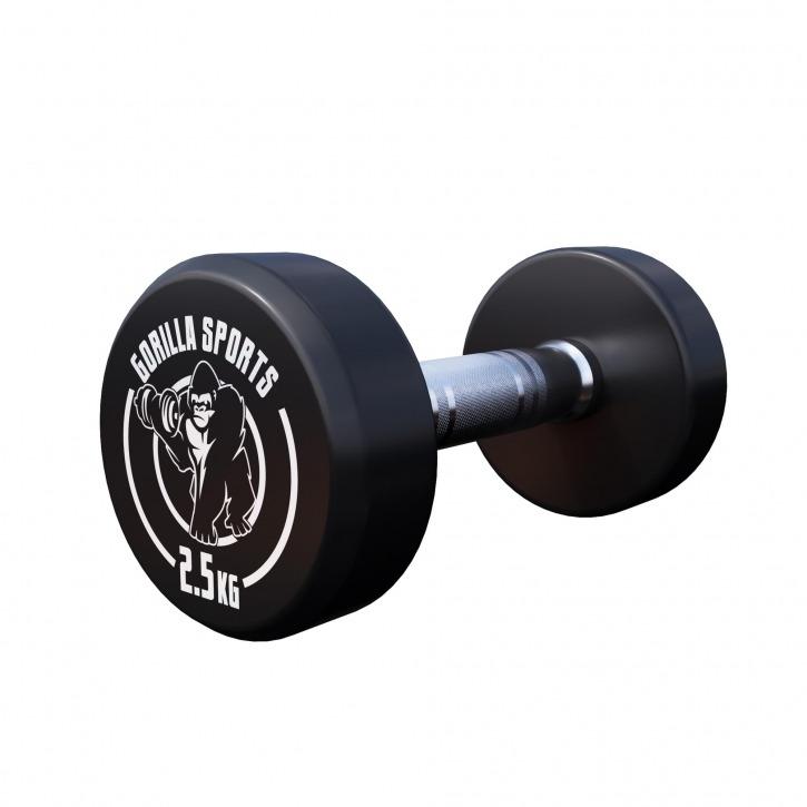 Fixed Dumbbell 2.5KG - Gorilla Sports South Africa - Weights