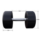 Fixed Dumbbell 22.5KG - Gorilla Sports South Africa - Weights